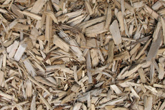 biomass boilers Porthgwarra